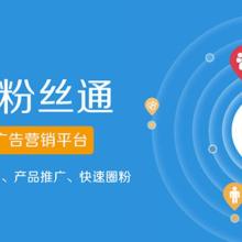 上?；鹚倬W絡科技股份 數據科技領域的技術服務先鋒